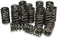 APE Valve Spring Kit Suzuki Hayabusa (99-24) - Schnitz Racing