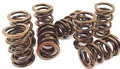 APE Valve Spring Kit Kawasaki KZ900-1000-J-GPZ