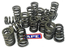 Kawasaki ZX-10R (04-25) Racing Valve Spring Kit