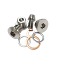 Titanium Oil Galley Plug Kit Suzuki Hayabusa (99-24), GSXR1000 (01-04)