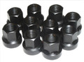 APE Cylinder Head Nuts (CHN10125-10)