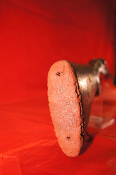 BORCHERS CELTA 12 GA SXS