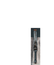 Luger P-08 DWM 1920 (113698)
