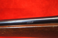 HECKLER & KOCH 270 .22 LR