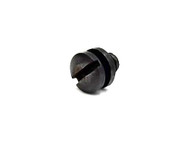Colt Police Positive Crane Lock Screw