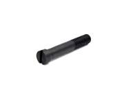 Colt Police Positive Grip Screw Blued