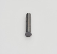 Para Ordnance Hammer Pin Stainless