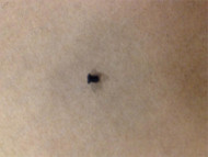 1903A3 Springfield Slide Aperture Screw