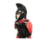 Trojan Breast Plate Set and Helmet with Crop Ensemble Trojan Breast Plate Set and Helmet with Crop Ensemble