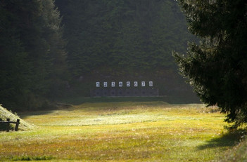 Hot New AR-Style Rifles from the SHOT Show