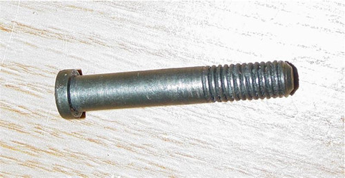 P17 Rear Guard Screw