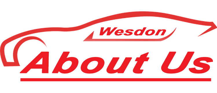 future-car-logo-design-550x550wesdon-about1.jpg