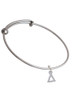Small Greek Letter - Delta - Charm Bangle Bracelet