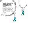 Teal Ribbon Clip On Charm