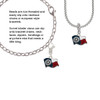 Texas Flag - Ranger Clip On Charm