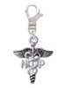 Caduceus - NP Clip On Charm