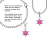 Hot Pink Snowflake with Hot Pink Crystal Clip On Charm