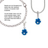 3-D Frosted Blue Resin Ornament with Crystals Clip On Charm