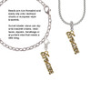 Gold Tone Script ''Dream'' with Clear Crystals Clip On Charm