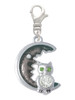 Large Crystal Owl Sitting on Black Moon Clip On Charm