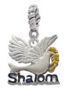 Shalom with Dove Rope Charm Bead Dangle