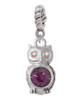 3-D Purple & AB Crystal Owl Rope Charm Bead Dangle