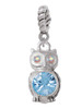 3-D Light Blue & AB Crystal Owl Rope Charm Bead Dangle