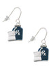 Blue Prescription Bottle French Earrings