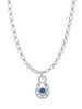 Mini Horseshoe with Blue Crystal Charm Necklace
