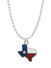 Texas - Lone Star Glass Charm Necklace