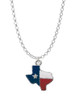 Texas with Rope Border Charm Necklace