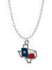 Texas Outline with Flag Charm Necklace