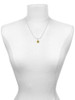 Capital Gold Tone Letter - N - Pebble Disc - Charm Necklace