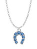 Blue Crystal Horseshoe Charm Necklace