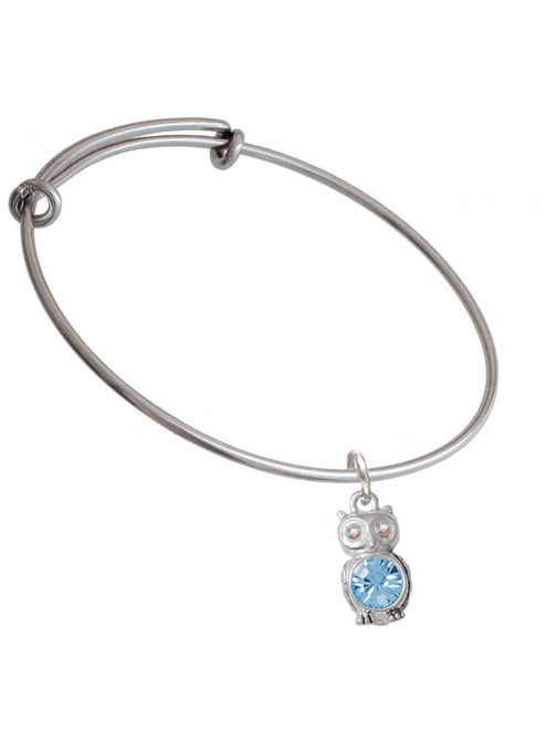 3-D Light Blue & AB Crystal Owl Charm Bangle Bracelet