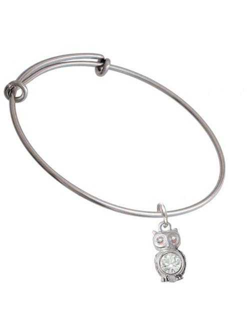 3-D Clear AB Crystal Owl Charm Bangle Bracelet