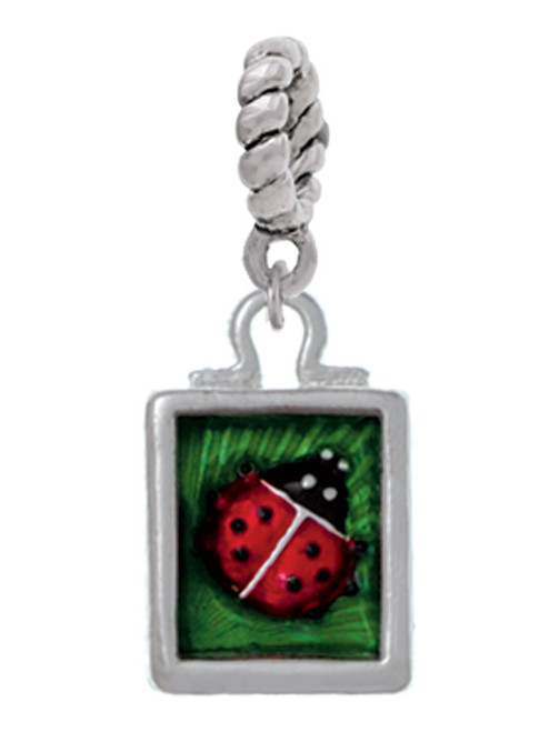 Red Ladybug in Shadow Box Rope Charm Bead Dangle