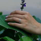 Round Diamond Semi-Eternity Wedding Band Ring in White Gold (MVSXB0011-W)