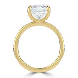 Princess Lab Created Diamond Channel Set Solitaire with Accents Engagement Ring in Yellow Gold (MVSLG1667-Y)