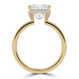 Princess Lab Created Diamond Hidden Halo Solitaire with Accents Engagement Ring in Yellow Gold (MVSLG1311-Y)