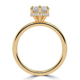 Marquise Lab Created Diamond Hidden Halo Open Bridge Solitaire with Accents Engagement Ring in Yellow Gold (MVSLG1370-Y)