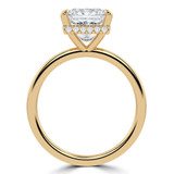 Princess Lab Created Diamond Hidden Halo Open Bridge Solitaire with Accents Engagement Ring in Yellow Gold (MVSLG1373-Y)