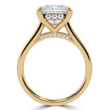Princess Lab Created Diamond Hidden Halo Cathedral Solitaire with Accents Engagement Ring in Yellow Gold (MVSLG1390-Y)