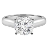 Round Diamond Reverse Tapered Cathedral Trellis Solitaire Engagement Ring in White Gold (MVS0042-W)