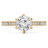 Round Diamond Cathedral 6-Prong Solitaire with Accents Engagement Ring in Yellow Gold (MVS0234-Y)