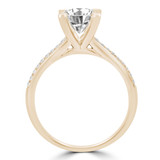 Round Diamond Cathedral Solitaire with Accents Engagement Ring in Yellow Gold (MVS0239-Y)