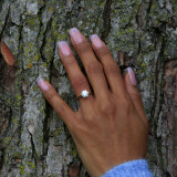 Round Diamond 6-Prong Tappered Solitaire Engagement Ring in White Gold (MVS0267-W)
