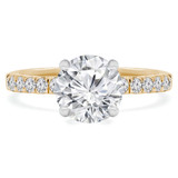 1 CTW Round Diamond Solitaire with Accents Engagement Ring in 14K Yellow Gold (MD160340)