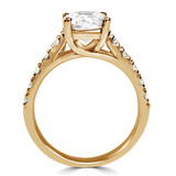 3/4 CTW Round Diamond Trellis Solitaire with Accents Engagement Ring in 14K Yellow Gold (MD200109)