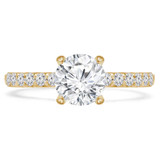 1 CTW Round Diamond Solitaire with Accents Engagement Ring in 14K Yellow Gold (MD220453)